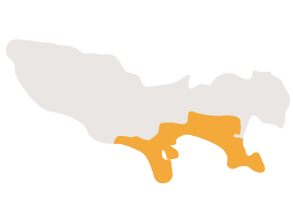東京都
